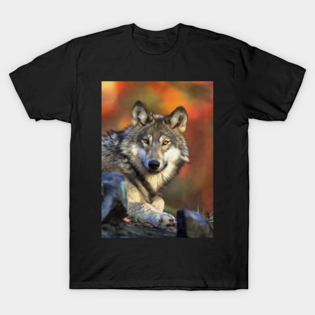 AUTUMN WOLF T-Shirt by EddieChristian